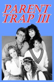 Parent Trap III 1989 on netflix