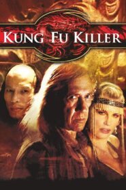 Kung Fu Killer 2008 on netflix
