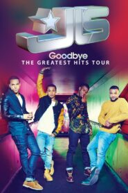 JLS: Goodbye – The Greatest Hits Tour 2013 on netflix