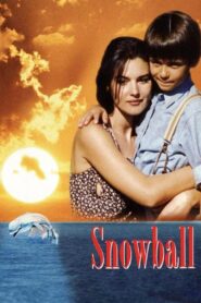 Snowball 1995 on netflix