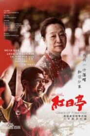Grace of Porridge 2019 on netflix