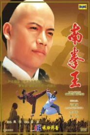 The South Shaolin Master 1984 on netflix