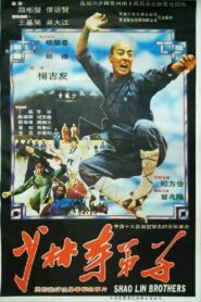 少林寺弟子 1983 on netflix