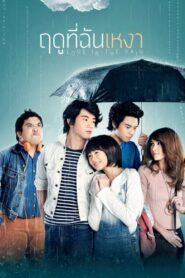 Love in the Rain 2013 on netflix