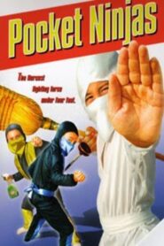 Pocket Ninjas 1997 on netflix