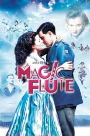 The Magic Flute 2006 on netflix