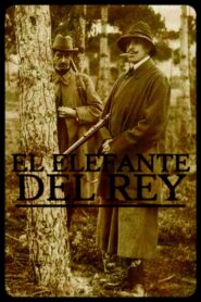El elefante del rey 2003 on netflix