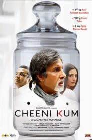 Cheeni Kum 2007 on netflix