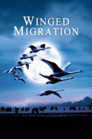 Winged Migration 2001 on netflix