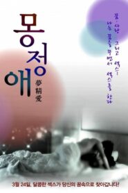 Dream Affection 2011 on netflix