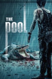 The Pool 2018 on netflix