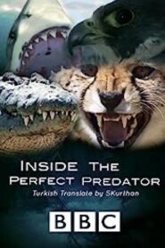 Inside the Perfect Predator 2010 on netflix