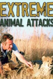 Extreme Animal Attacks 2003 on netflix