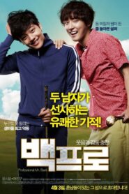 Mr. Perfect 2014 on netflix