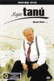 Witness Again 1995 on netflix