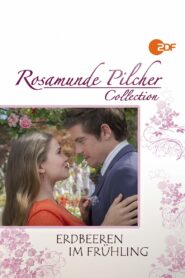 Rosamunde Pilcher: Erdbeeren im Frühling 2016 on netflix