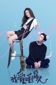 Catman 2021 on netflix