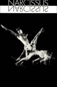 Narcissus 1983 on netflix