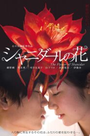 Flower of Shanidar 2013 on netflix