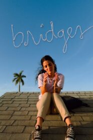 Bridges 2021 on netflix