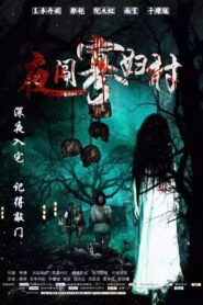 Visit the Widow Village in the Night 2017 on netflix