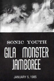 Sonic Youth: Gila Monster Jamboree 1985 on netflix