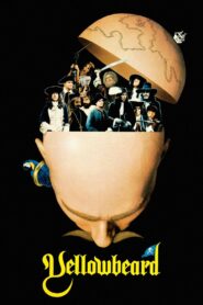 Yellowbeard 1983 on netflix