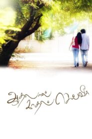 Aadhalal Kadhal Seiveer 2013 on netflix
