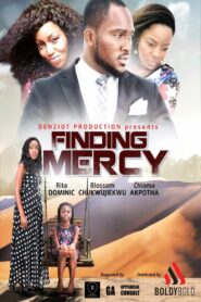 Finding Mercy 2012 on netflix