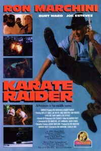 Karate Raider 1995 on netflix