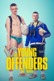 The Young Offenders 2016 on netflix
