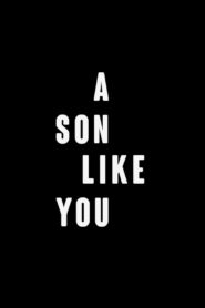 A Son Like You 2012 on netflix