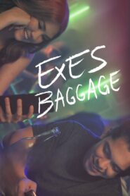 Exes Baggage 2018 on netflix