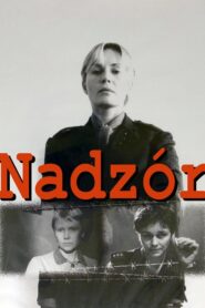 Custody 1985 on netflix