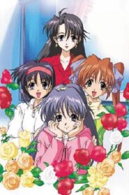 First Kiss Story 2000 on netflix