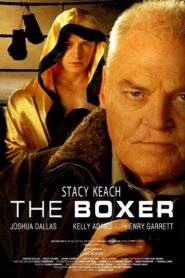 The Boxer 2009 on netflix