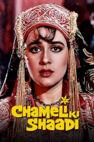 Chameli Ki Shaadi 1986 on netflix