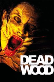 Dead Wood 2007 on netflix