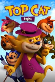 Top Cat Begins 2015 on netflix