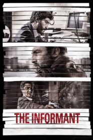 The Informant 2013 on netflix