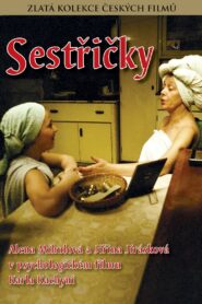 Sestricky 1984 on netflix