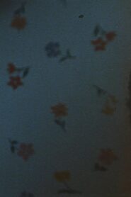 Matins 1988 on netflix