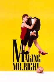Making Mr. Right 1987 on netflix
