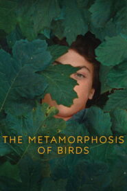 The Metamorphosis of Birds 2021 on netflix