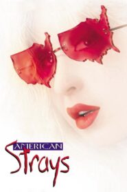 American Strays 1996 on netflix