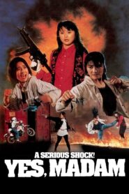 A Serious Shock! Yes Madam! 1993 on netflix
