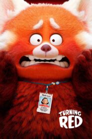 Turning Red 2022 on netflix