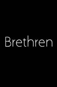 Brethren 2010 on netflix