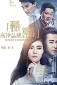 The Secret of the President 2018 on netflix