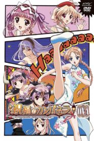 Shukufuku no Campanella: La Campanella Della Benedizione 2011 on netflix